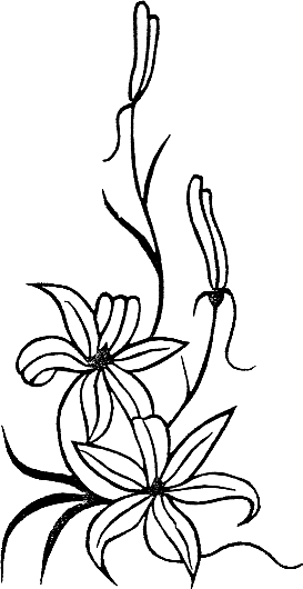 s/w-Grafik: 4 aufstrebende Blüten