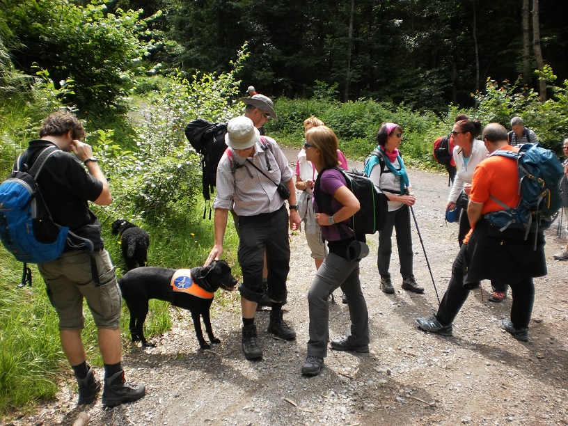 Gruppe beim Wandern rund um Weißensee (1)