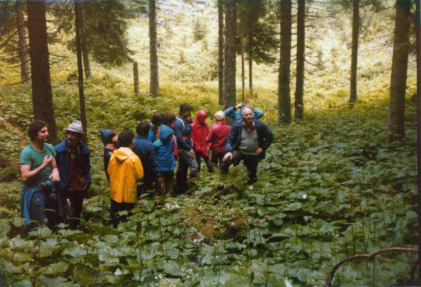 Dieser Weg führt zur Schmied-Alm, wo es auch sehr schön ist