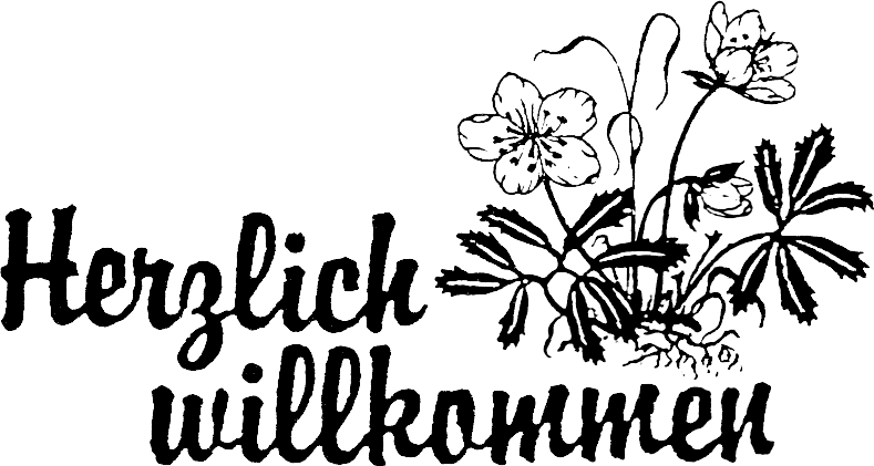 Schriftzug: "Herzlich willkommen" und s/w-Grafik: Buschwindröschen
