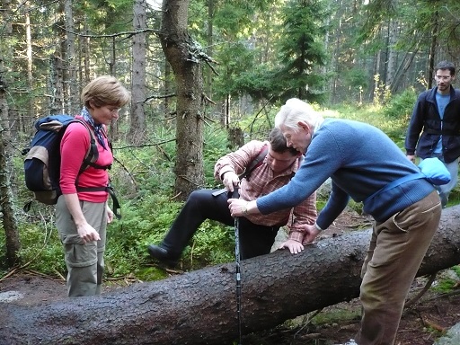 Alle (Horst) müssen auf dem Weg zum Rudolfstein über umgefallende Bäume