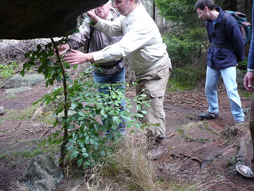 Unterm Wackelstein kann der Baum nicht weiter wachsen (Horst, Hubert, Thomas)