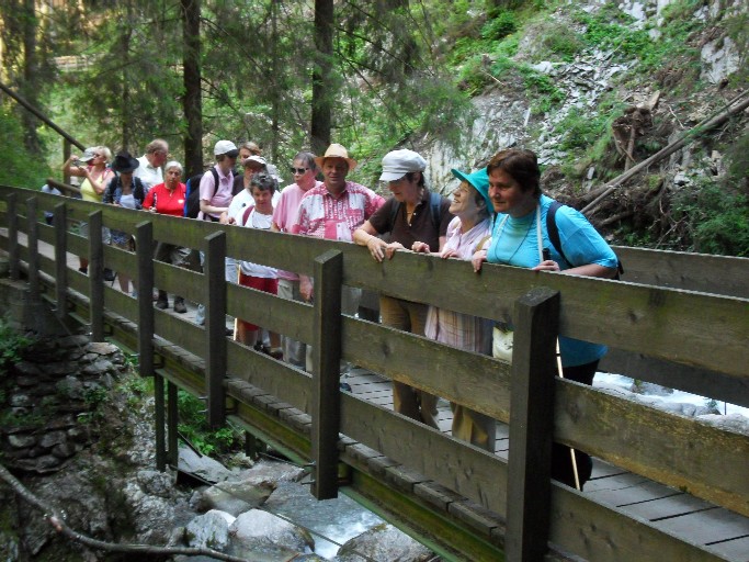 Gruppe auf einer Brücke über der Gilfenklamm, 5. August 2009 um 16:15 Uhr