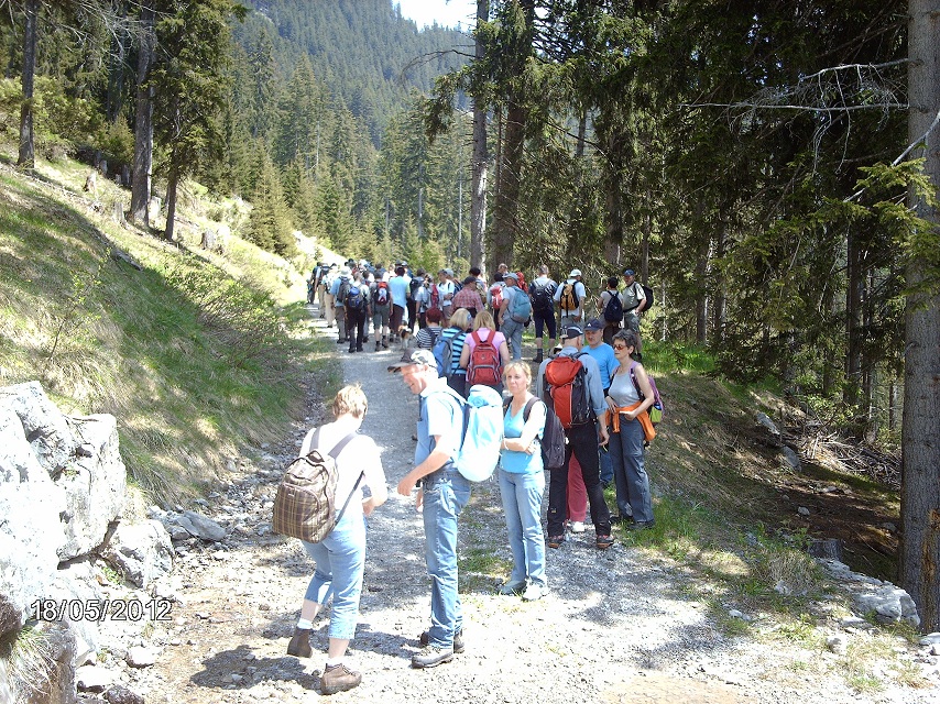 Hängebrücke im Lechtal, 200 Meter lang, über 100 Meter hoch, 3