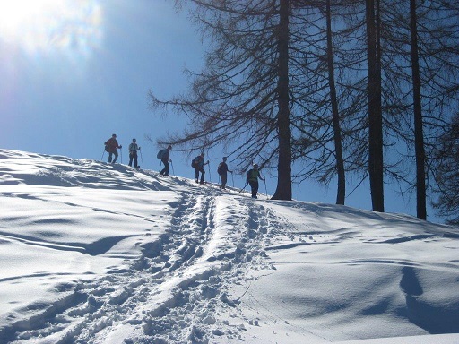 Schneeschuh - Roßbrand