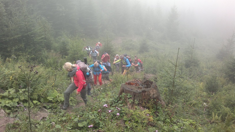 Aufstieg im Nebel bei der Mahdalm-Tour