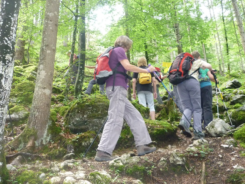 Wandern auf Wurzelpfad in St. Martin