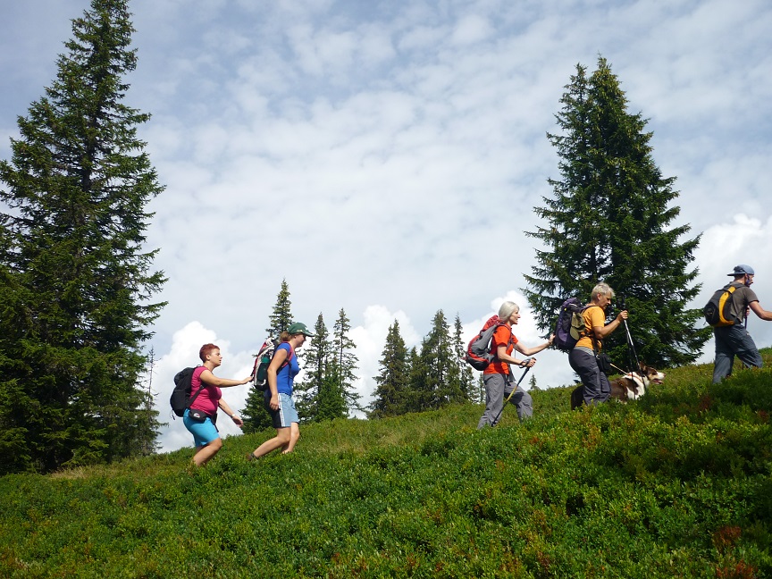 Aufstieg der Gruppe am 15. August 2016