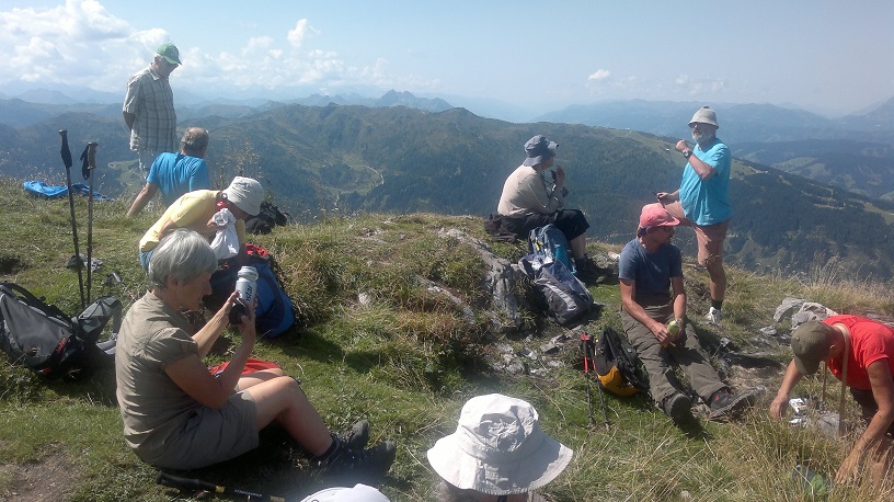 Rikki, Vroni, Martin, Karl, Konrad, Erich, Fönix und Sabine auf dem Lackenkogel