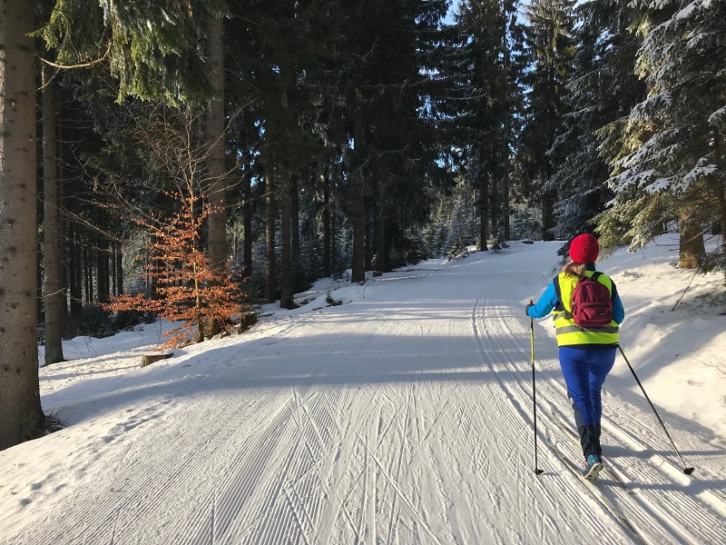 Auf gespurter Loipe unterwegs (1)