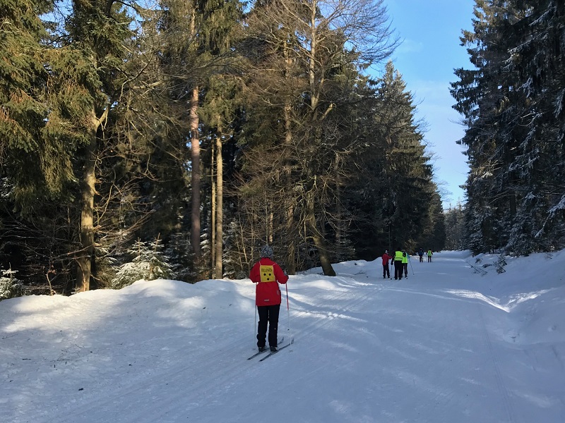 Auf gespurter Loipe unterwegs (2)