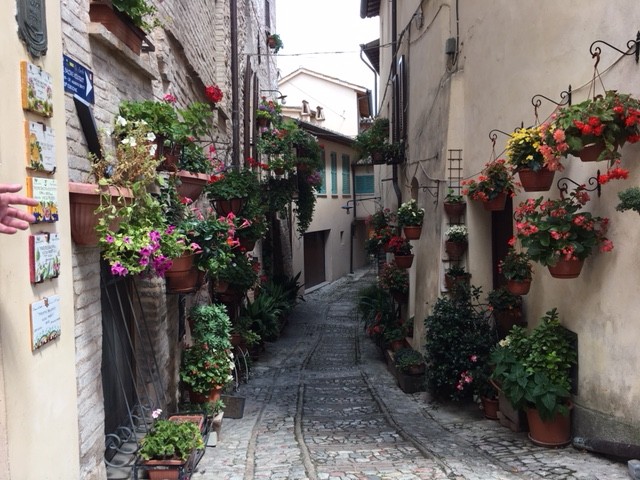 Gasse in Spello