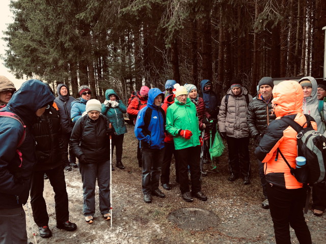 Wandern durch Wald und Regen am 11.02.2020 um 11:16 in der Nähe von Klaffer am Hochficht auf 614 Metern