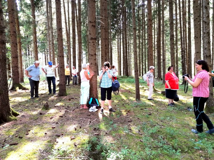 Bäume haben etwas zu erzählen: Jeder Teilnehmer sucht sich "seinen" Baum im Wald.