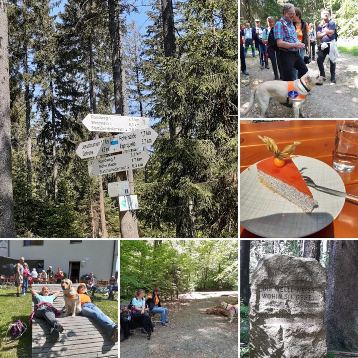 Fotocollage vom Naturparkwandern