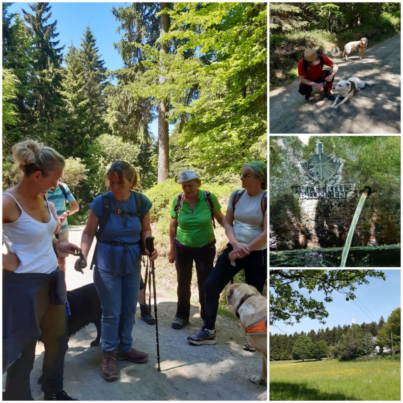 Collage der Wanderung zum Hubertusbrunnen